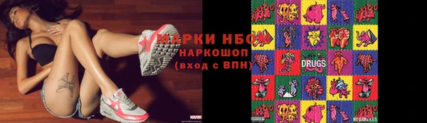 стафф Карпинск