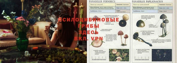 марки lsd Киреевск
