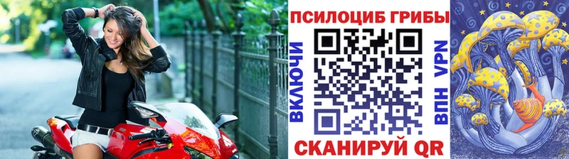 Псилоцибиновые грибы Psilocybine cubensis  Купить где  Духовщина 